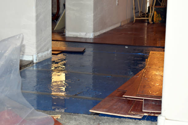 Professional Flood Cleanup technician working in Olden, TX